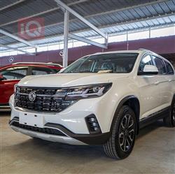 دونج فينج T5L